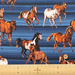 USA Cotton WINDHAM FABRICS Stallions - Horse - nomura tailor
