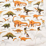 Cotton Oxford Fabric - Dinosaur - nomura tailor