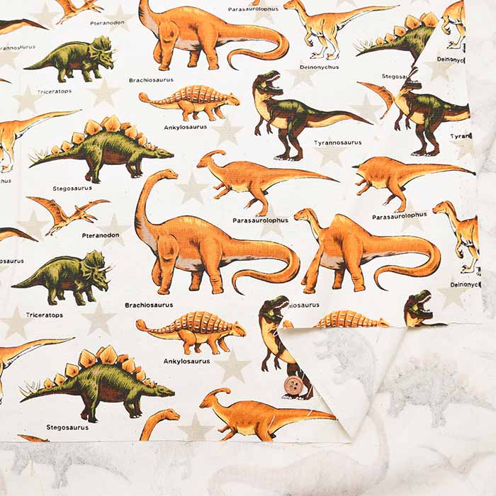 Cotton Oxford Fabric - Dinosaur - nomura tailor