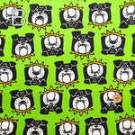 Cotton  Oxford FabricFablic - Bulldog
