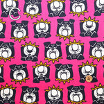 Cotton  Oxford FabricFablic - Bulldog