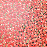 Cotton Oxford Print Laminated Fabric (Matte) - Strawberry - nomura tailor