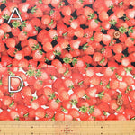 Cotton Oxford Print Laminated Fabric (Matte) - Strawberry - nomura tailor