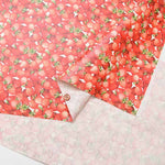 Cotton Oxford Print Laminated Fabric (Matte) - Strawberry - nomura tailor