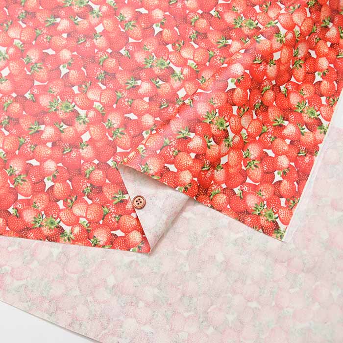Cotton Oxford Print Laminated Fabric (Matte) - Strawberry - nomura tailor