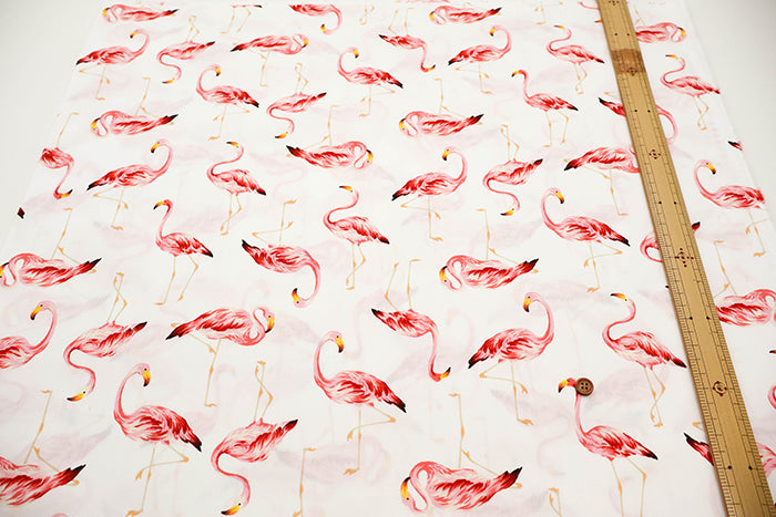 Cotton Broadcloth Fabric - Flamingo - nomura tailor