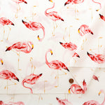 Cotton Broadcloth Fabric - Flamingo - nomura tailor