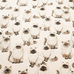 Cotton Oxford Fabric - Himalayan - nomura tailor