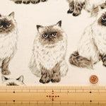 Cotton Oxford Fabric - Himalayan - nomura tailor