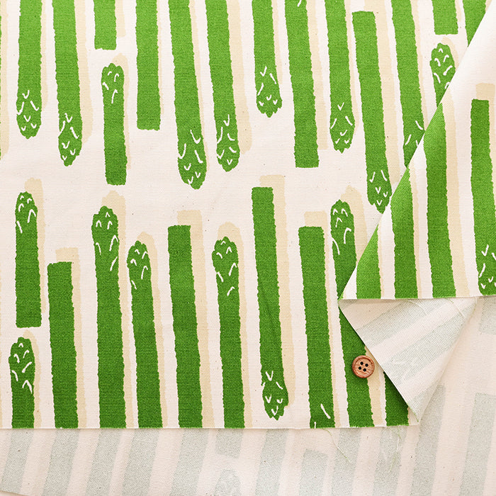 Cotton Oxford Fabric - Asparagus - nomura tailor