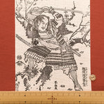 <Patterned Cut> Kawachi Momen (Thick) Tsutaju Panel Pattern (1 Pattern: Approx. 110cm × 74cm) - nomura tailor