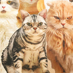 Made in China Cotton Muslin Inkjet-printed Fabric - Lots of Cats - nomura tailor