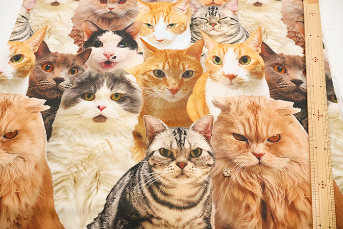 Made in China Cotton Muslin Inkjet-printed Fabric - Lots of Cats - nomura tailor