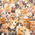 Made in China Cotton Muslin Inkjet-printed Fabric - Lots of Cats - nomura tailor