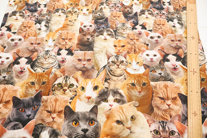 Made in China Cotton Muslin Inkjet-printed Fabric - Lots of Cats - nomura tailor