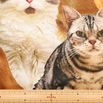 Made in China Cotton Muslin Inkjet-printed Fabric - Lots of Cats - nomura tailor