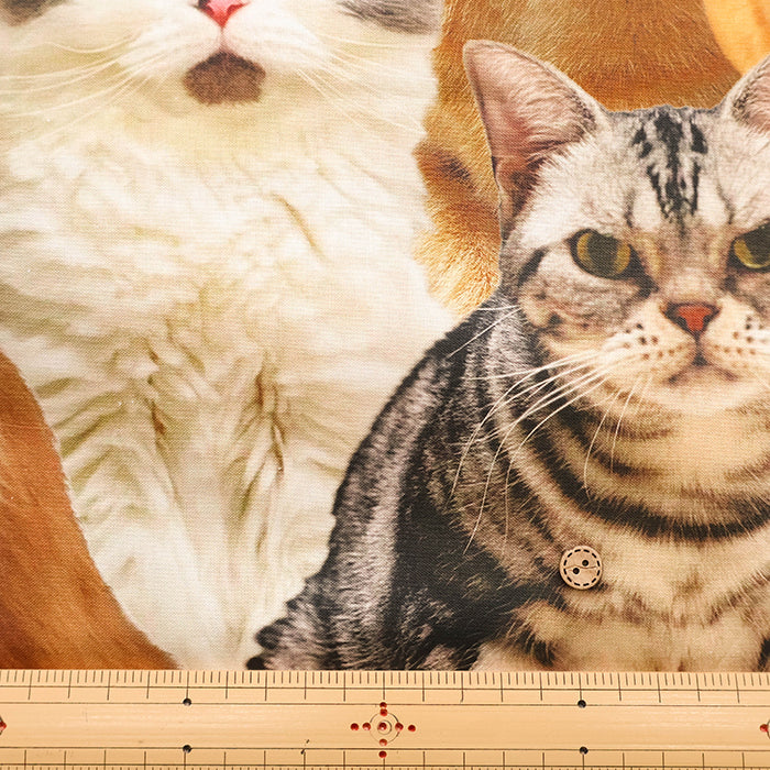 Made in China Cotton Muslin Inkjet-printed Fabric - Lots of Cats - nomura tailor
