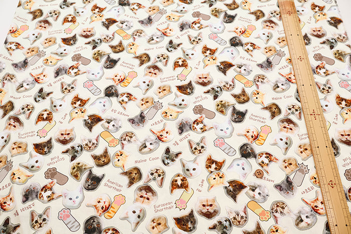 Made in China Cotton Inkjet-printed Fabric - Shaka-nyan - nomura tailor