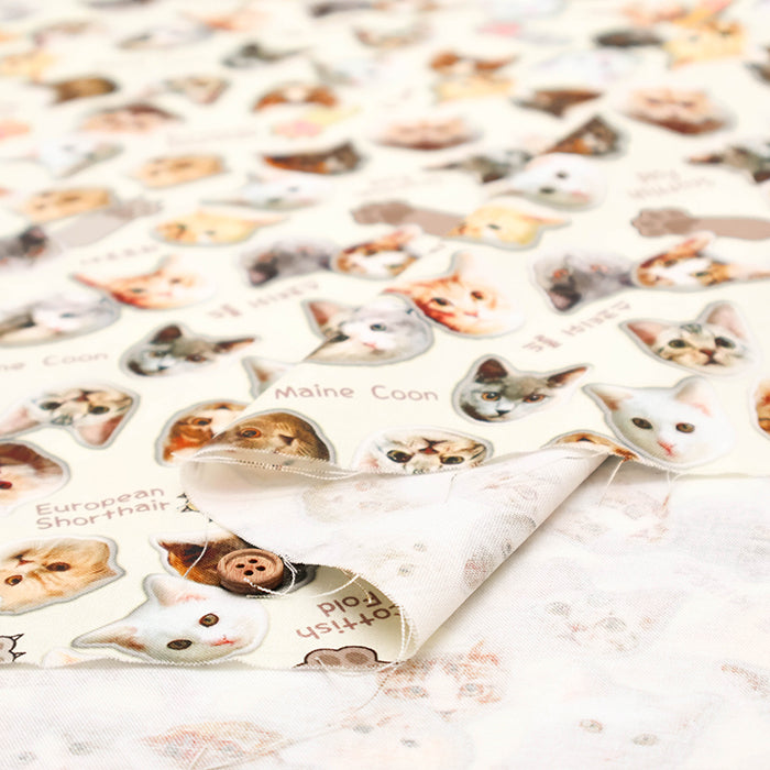 Made in China Cotton Inkjet-printed Fabric - Shaka-nyan - nomura tailor