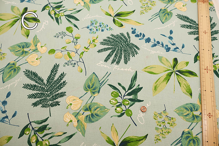Cotton Oxford Fabric - House Plants - nomura tailor