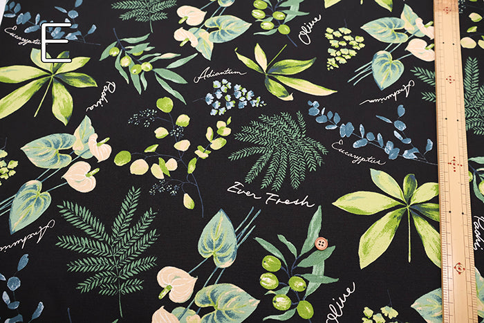 Cotton Oxford Fabric - House Plants - nomura tailor