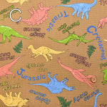 Cotton Oxford Fabric - Dinosaur - nomura tailor