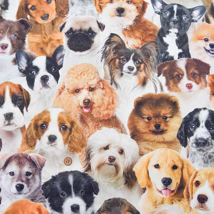 Made in the Netherlands B&B Fabric Cotton Print Fabric - DOG - nomura tailor
