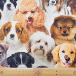 Made in the Netherlands B&B Fabric Cotton Print Fabric - DOG - nomura tailor