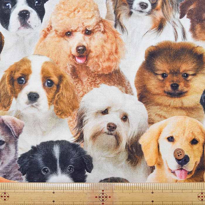Made in the Netherlands B&B Fabric Cotton Print Fabric - DOG - nomura tailor