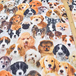 Made in the Netherlands B&B Fabric Cotton Print Fabric - DOG - nomura tailor
