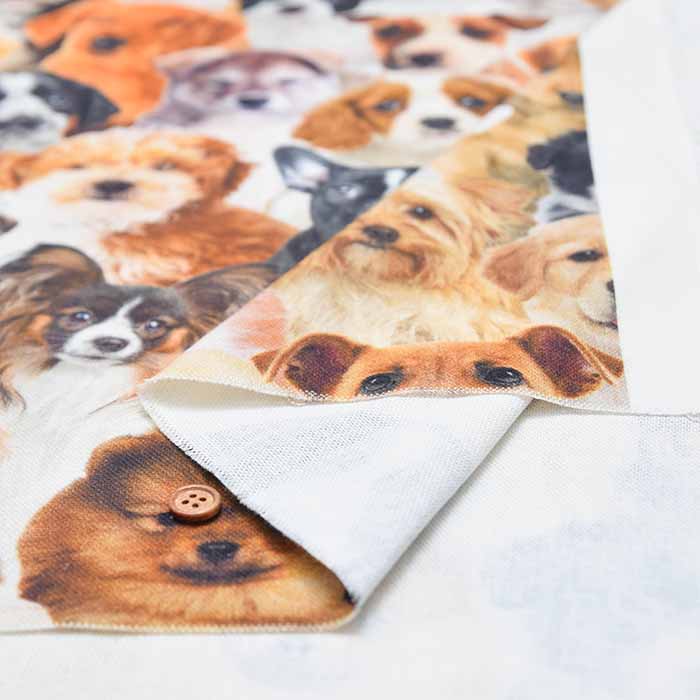 Made in the Netherlands B&B Fabric Cotton Print Fabric - DOG - nomura tailor