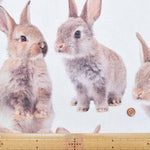 Made in the Netherlands B&B Fabric Cotton Print Fabric - RABBIT - nomura tailor