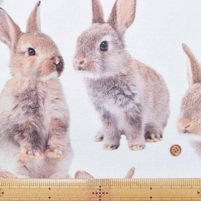 Made in the Netherlands B&B Fabric Cotton Print Fabric - RABBIT - nomura tailor