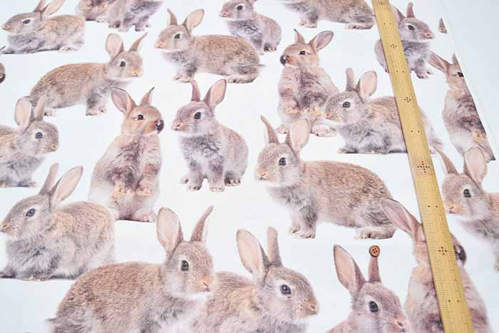 Made in the Netherlands B&B Fabric Cotton Print Fabric - RABBIT - nomura tailor
