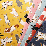 Cotton Oxford Fabric - Belly Up - nomura tailor