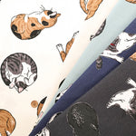 Cotton  Oxford FabricFablic - Cat