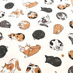 Cotton  Oxford FabricFablic - Cat