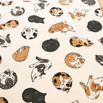 Cotton  Oxford FabricFablic - Cat