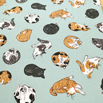 Cotton  Oxford FabricFablic - Cat