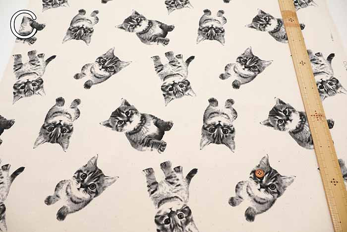 Cotton Oxford Fabric -Cat - nomura tailor