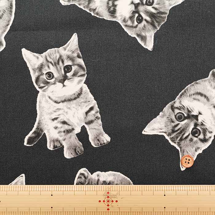 Cotton Oxford Fabric -Cat - nomura tailor