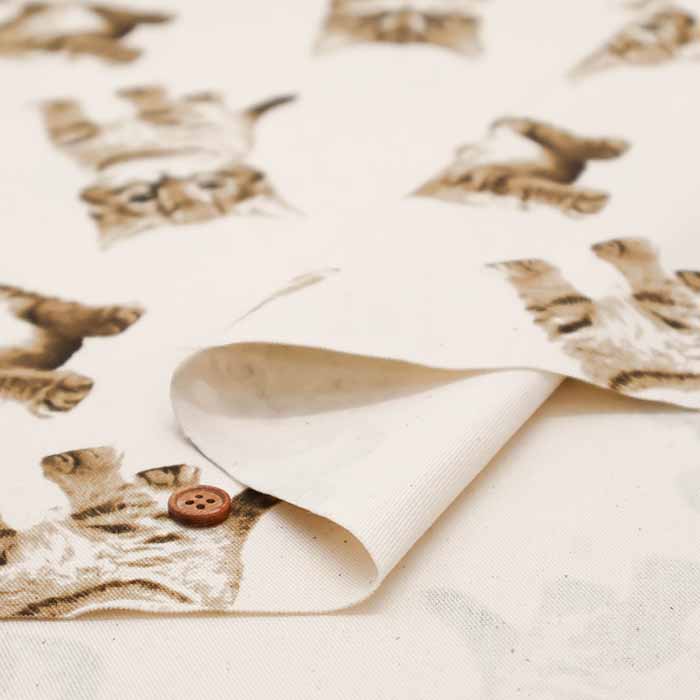 Cotton Oxford Fabric -Cat - nomura tailor