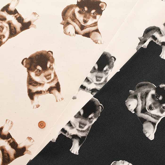 Cotton Oxford Fabric - Shiba Dog - nomura tailor