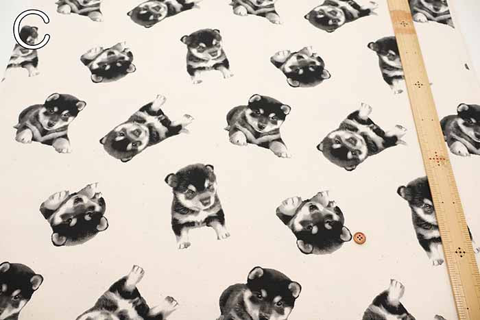 Cotton Oxford Fabric - Shiba Dog - nomura tailor