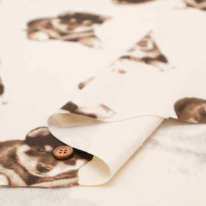 Cotton Oxford Fabric - Shiba Dog - nomura tailor