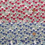 Cotton Broad Fabric - Flower - nomura tailor