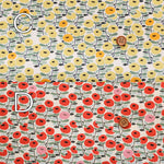 Cotton Broad Fabric - Flower - nomura tailor