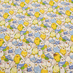 Cotton Oxford Fabric - Parakeet - nomura tailor