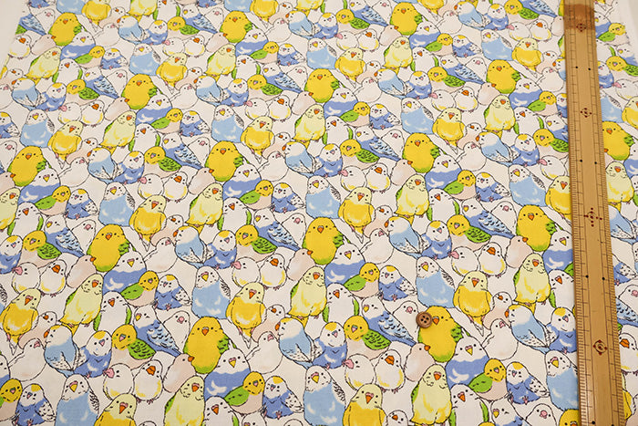 Cotton Oxford Fabric - Parakeet - nomura tailor