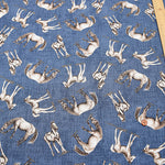USA Cotton sheeting fabric Horse - nomura tailor